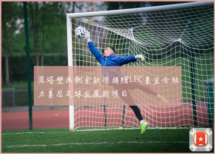 若塔壁画剩余款项捐赠LFC基金会助力基层足球发展新项目