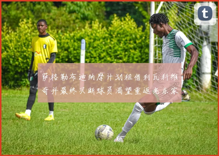 萨格勒布迪纳摩计划租借利瓦科维奇并最终买断球员渴望重返老东家
