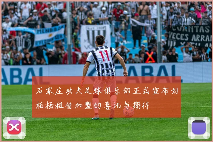 石家庄功夫足球俱乐部正式宣布刘柏杨租借加盟的喜讯与期待